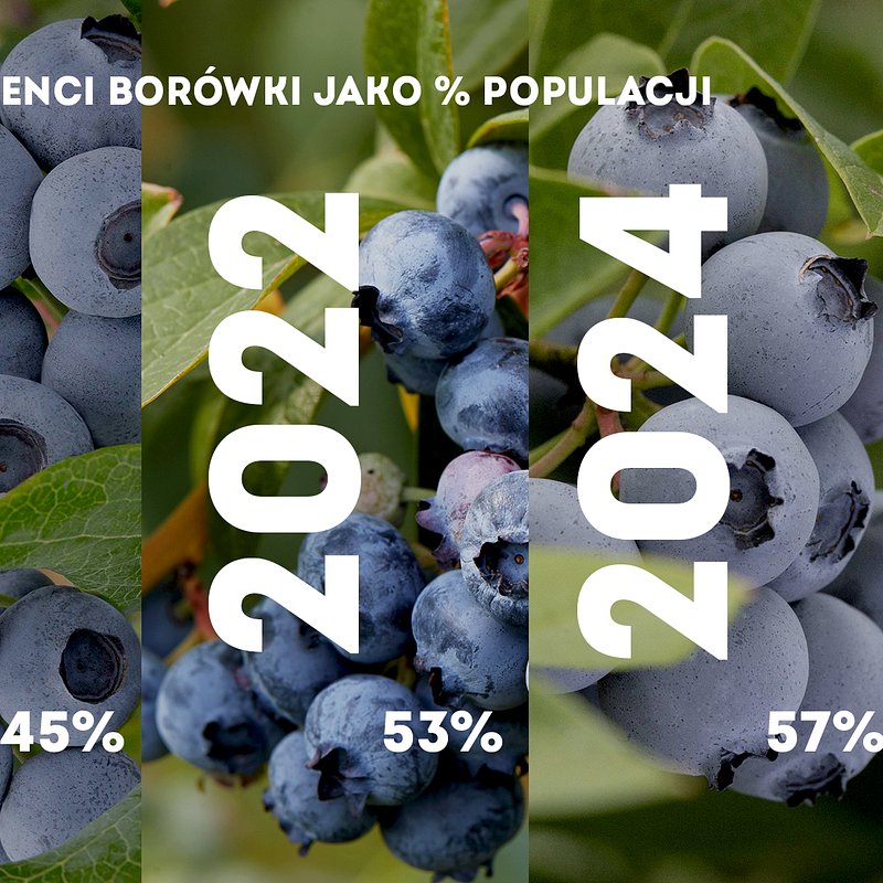 KANTAR Sierpień 2025 (3).jpg