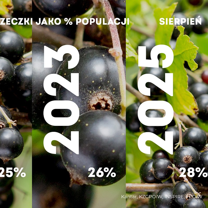 KANTAR Sierpień 2025 (11).jpg