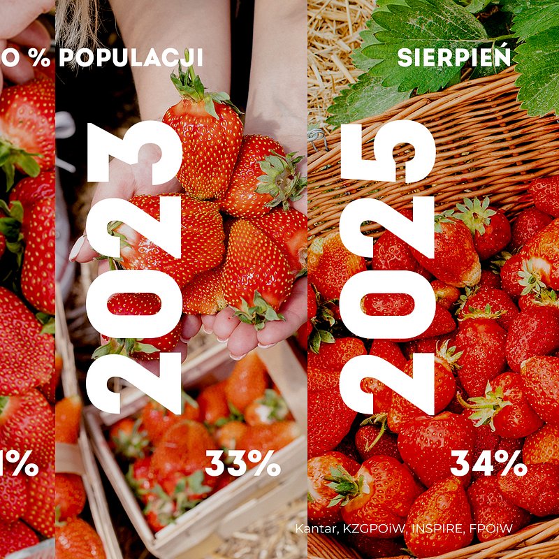 KANTAR Sierpień 2025 (7).jpg