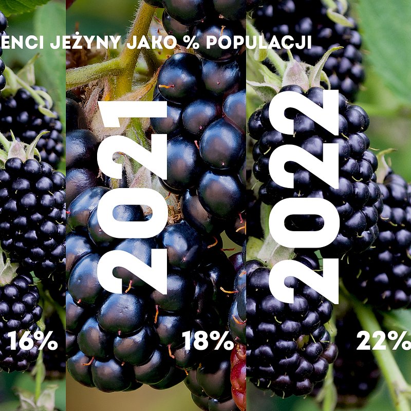 KANTAR Sierpień 2025 (9).jpg