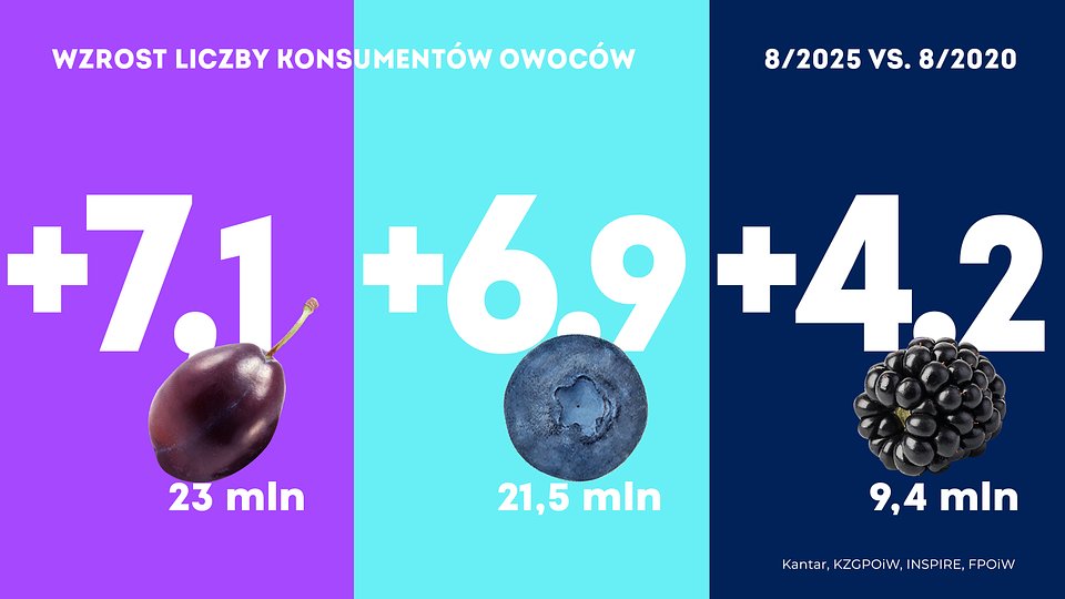 KANTAR Sierpień_2025 (5).jpg