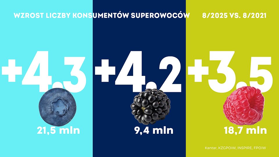 KANTAR Sierpień 2025 (13).jpg