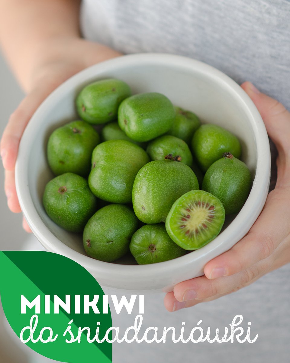 Superowoce_MINIKIWI_1350x1080_20.jpg