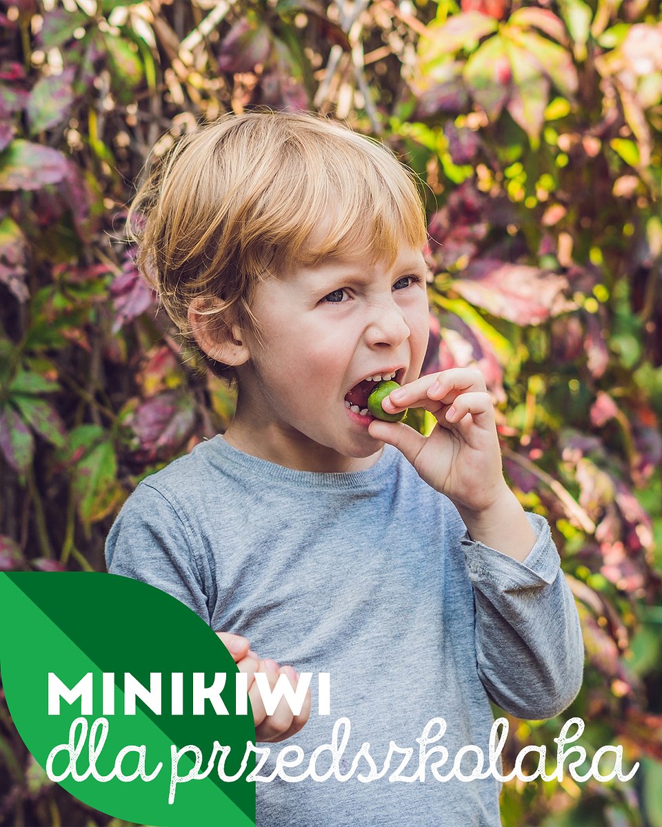 Superowoce_MINIKIWI_1350x1080_18.jpg