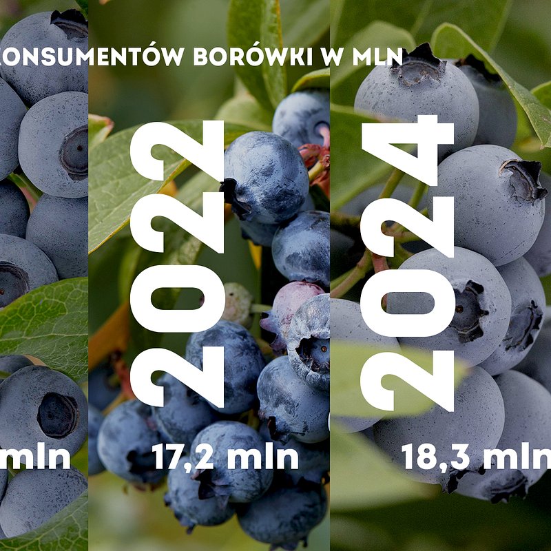 KANTAR Sierpień 2025 (1).jpg