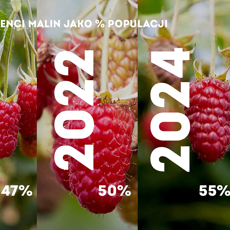 KANTAR Sierpień 2025 (6).jpg