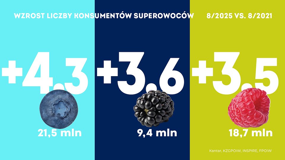 KANTAR Sierpień 2025 (4).jpg