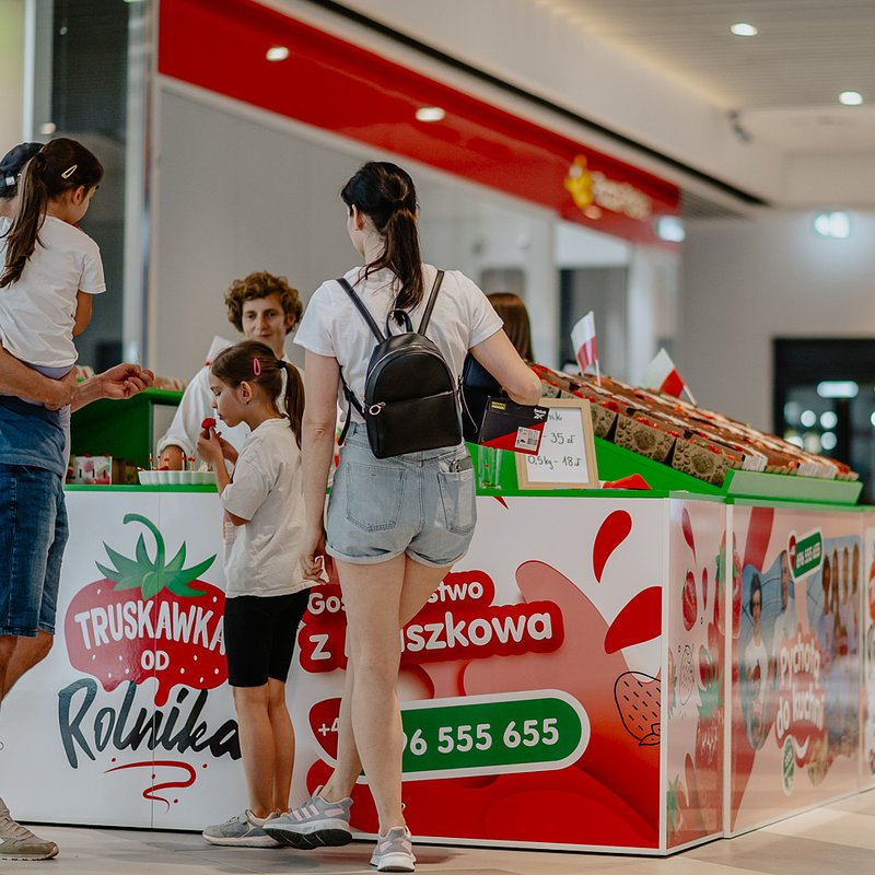 Truskawki od Rolnika_Leleń (9).jpg