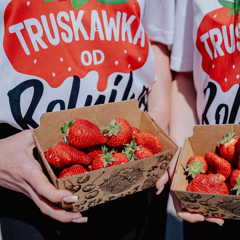 Truskawki od Rolnika_Leleń (7).jpg