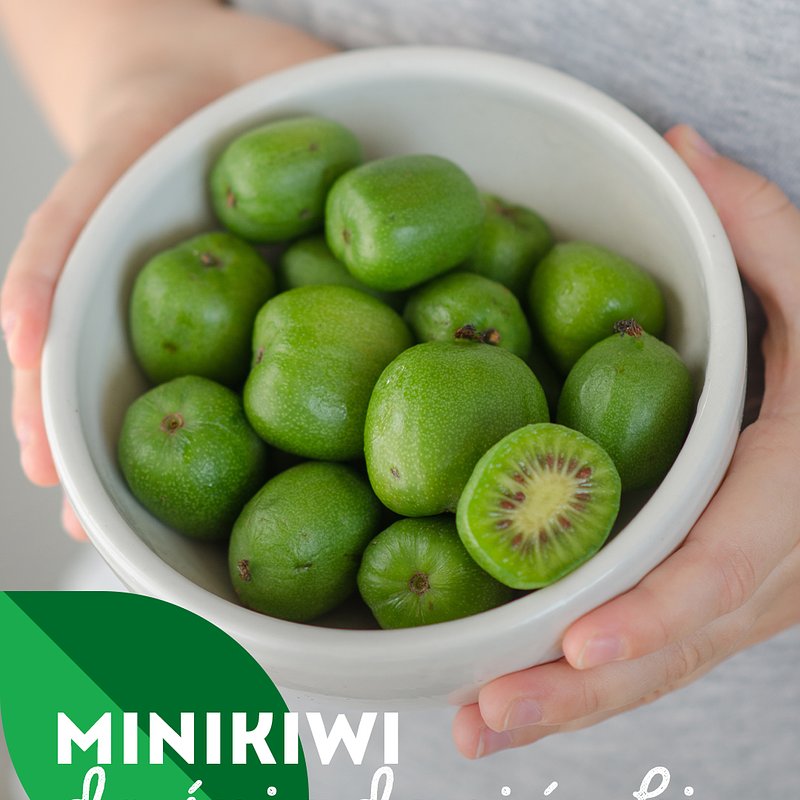 Superowoce_MINIKIWI (4).jpg