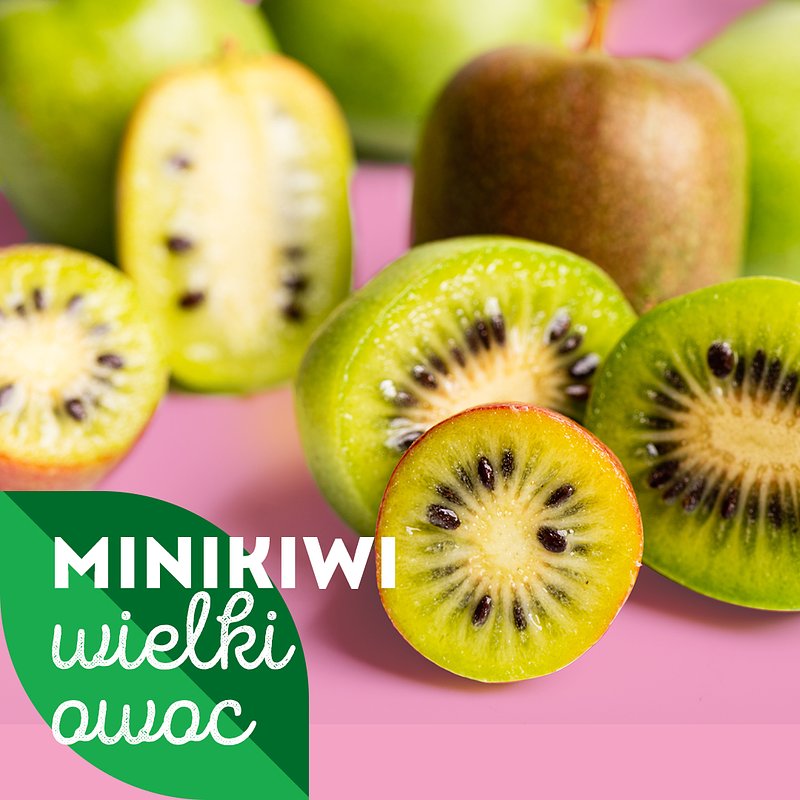 Superowoce_MINIKIWI (1).jpg