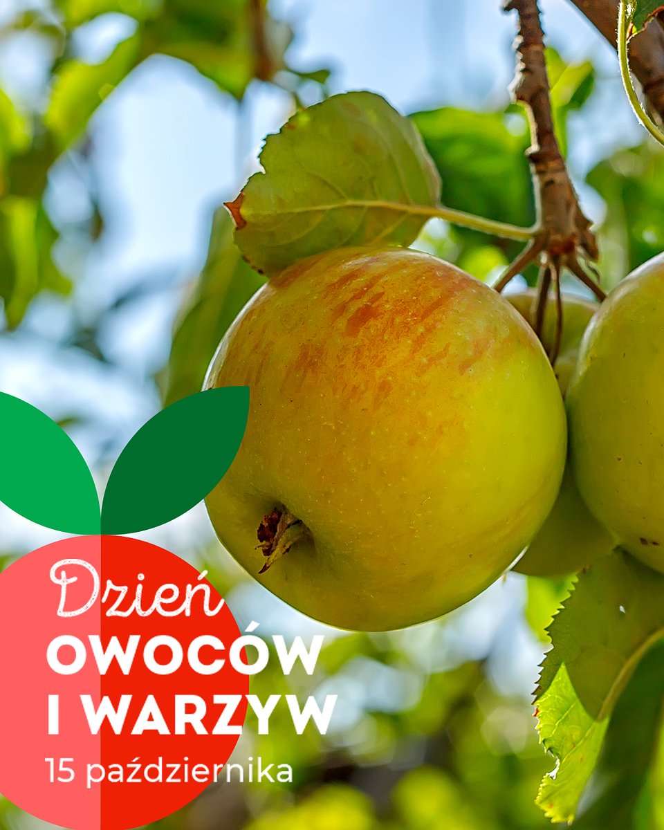 Dzień Owoców i Warzyw_15 październik 2025 (10).jpg