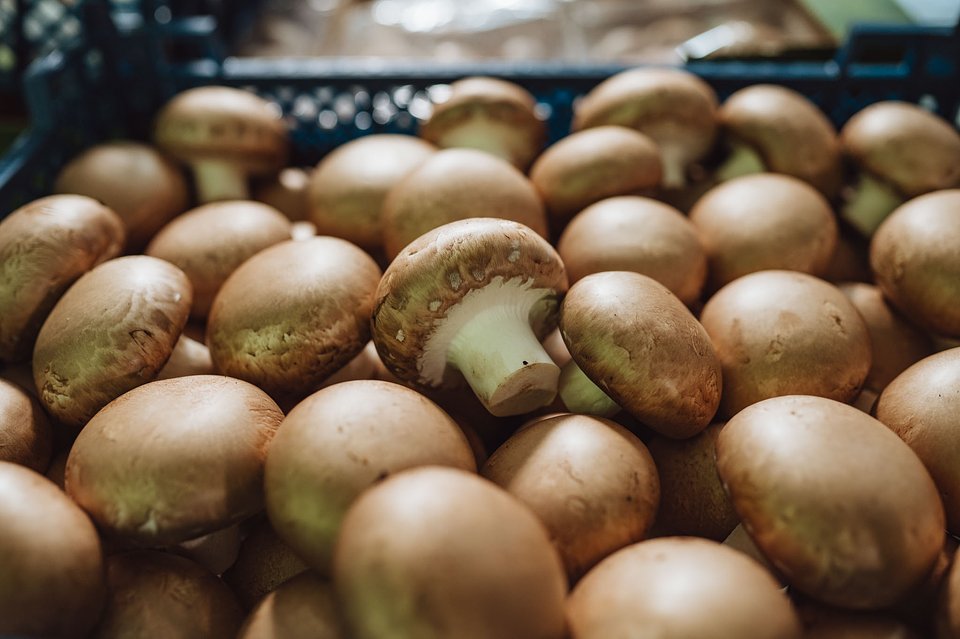 CORE TEAM Konferencja październik_2025 (85).jpg