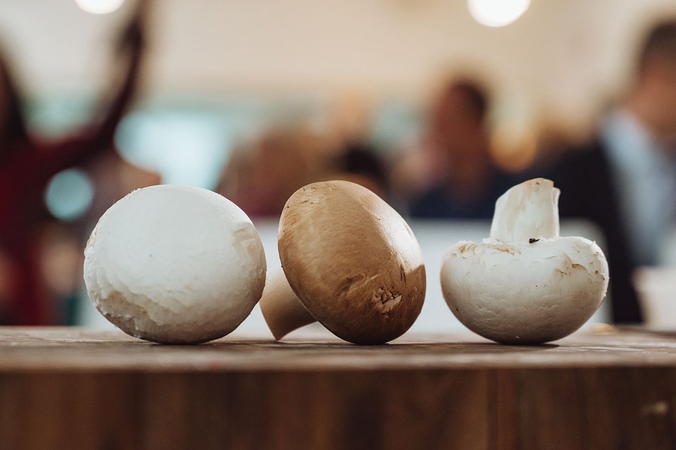 CORE TEAM Konferencja październik_2025 (84).jpg