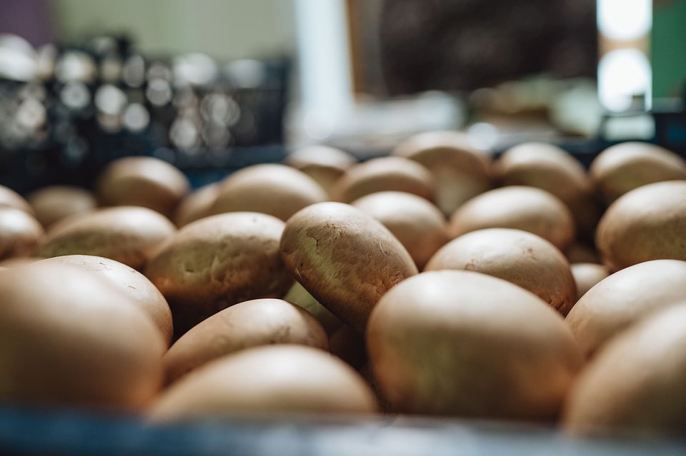 CORE TEAM Konferencja październik_2025 (82).jpg