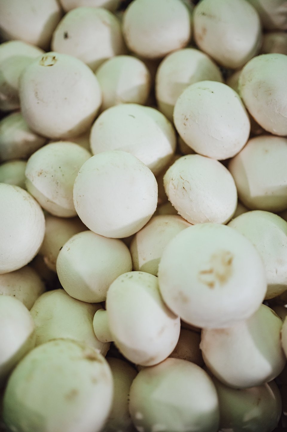 CORE TEAM Konferencja październik_2025 (79).jpg