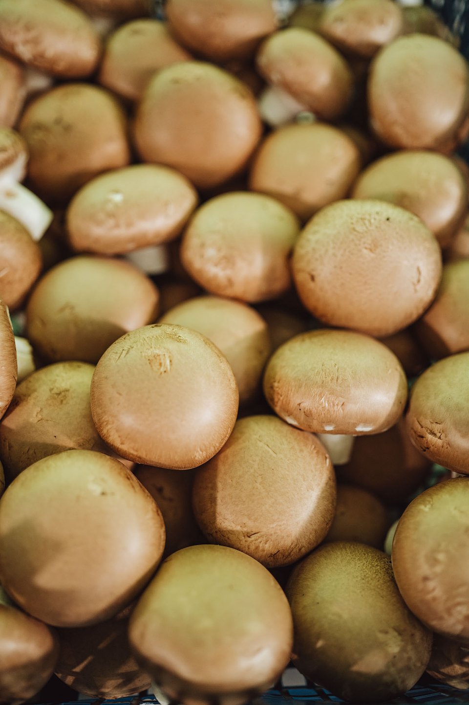 CORE TEAM Konferencja październik_2025 (78).jpg