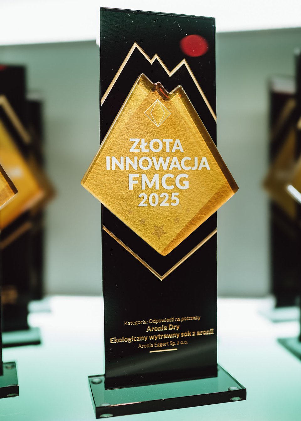 Złote Innowacje 2025 (49).jpg