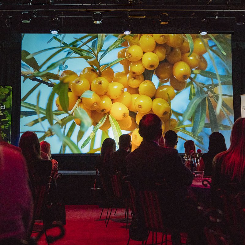 Złote Innowacje 2025 (4).jpg