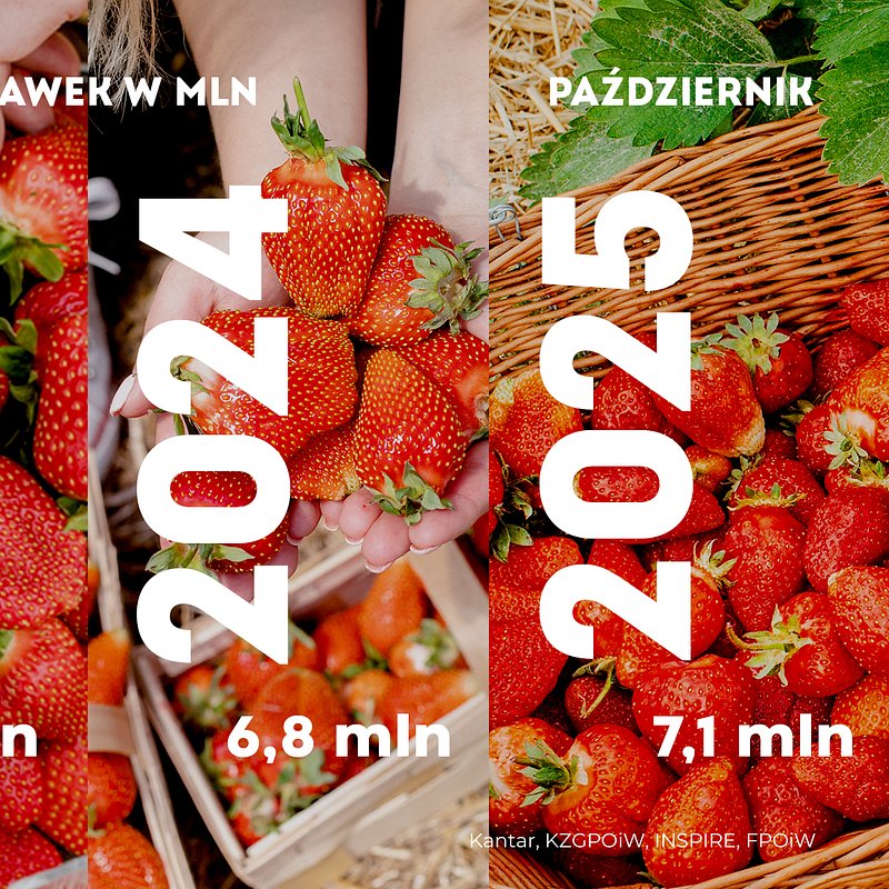 KANTAR Truskawki_2025-10 (2).jpg