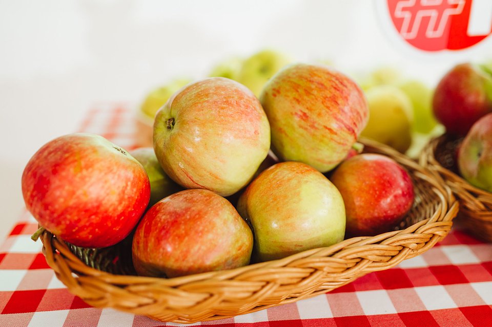 PAULARED Odmiana sierpnia (1).jpg