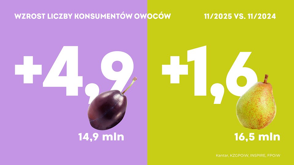 KANTAR Owoce listopad 2025 vs. 2024 (3).jpg
