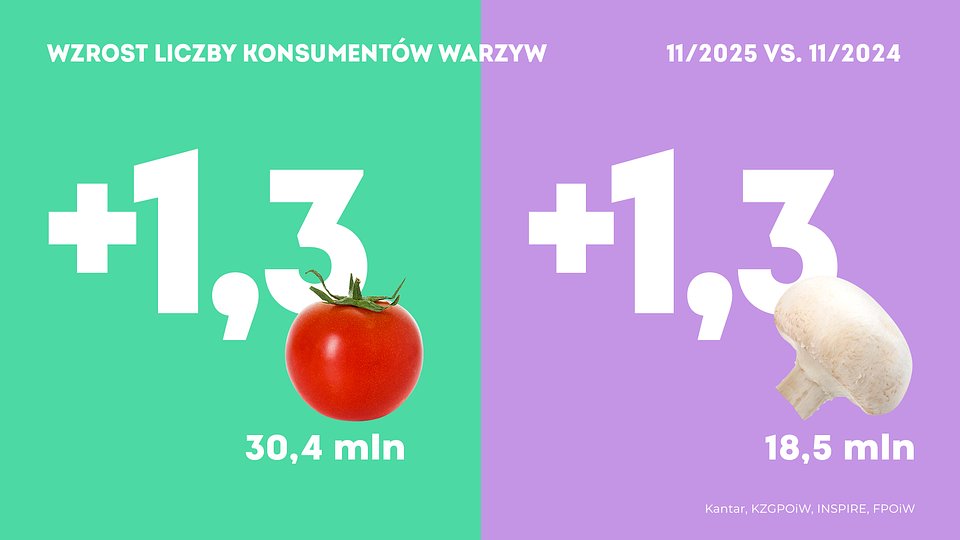 KANTAR Warzywa listopad 2025 vs. 2024 (3).jpg