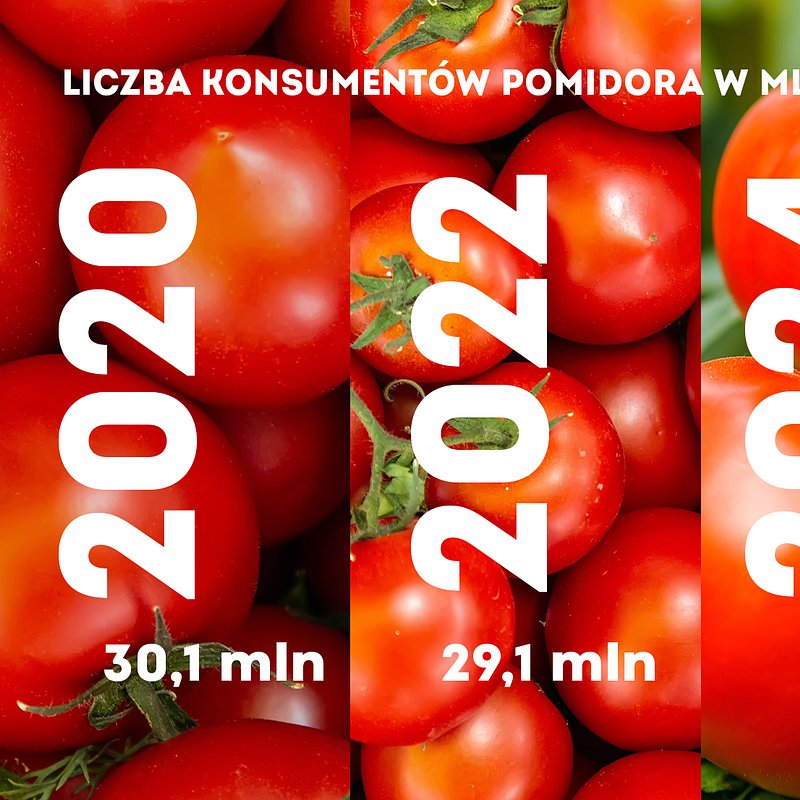 KANTAR Pomidor listopad (1).jpg