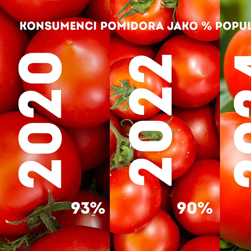 KANTAR Pomidor listopad (2).jpg