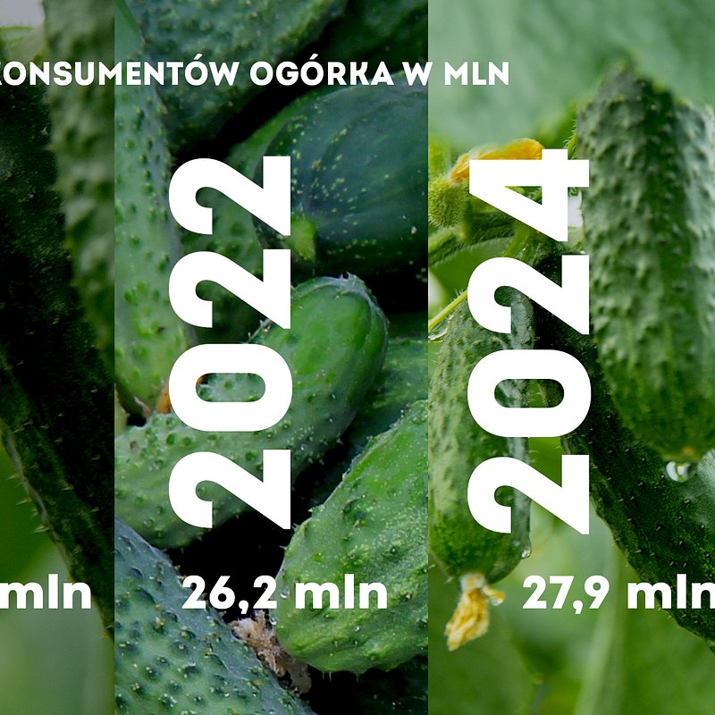 KANTAR Ogórek listopad (1).jpg