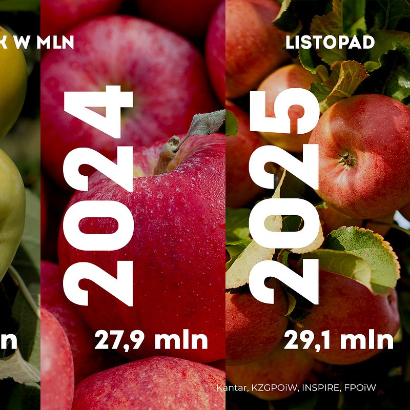 KANTAR Jabłka listopad (1).jpg