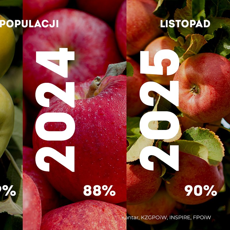 KANTAR Jabłka listopad (2).jpg