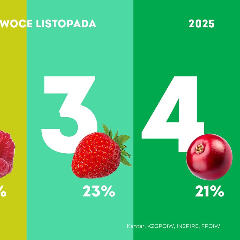 KANTAR Jagodowe listopad 2025 (1).jpg