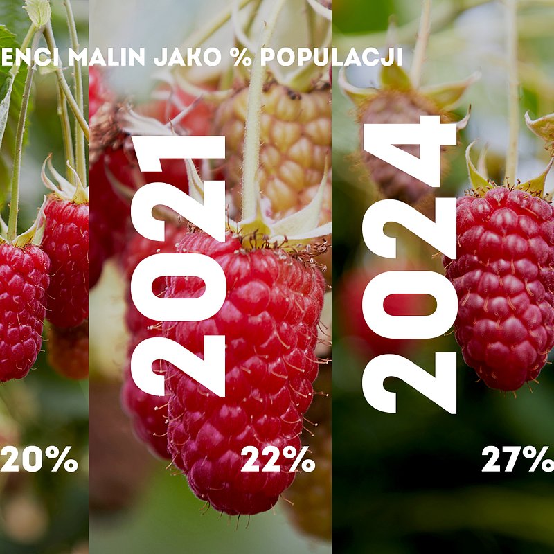 KANTAR Maliny listopad (2).jpg