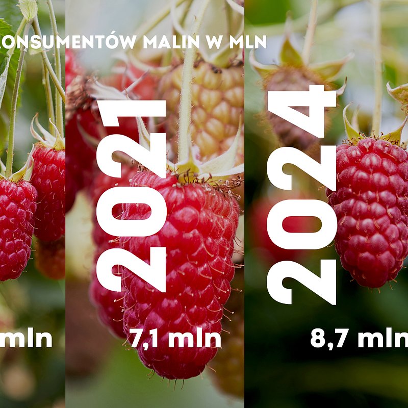 KANTAR Maliny listopad (1).jpg