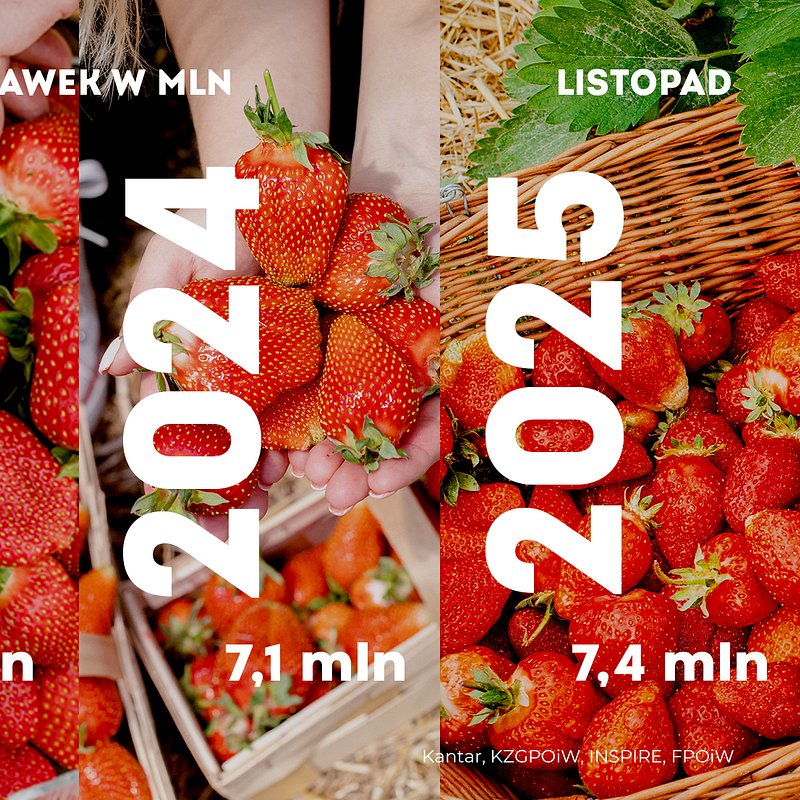 KANTAR Truskawki listopad (1).jpg