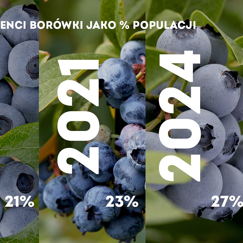 KANTAR Borówki listopad (2).jpg