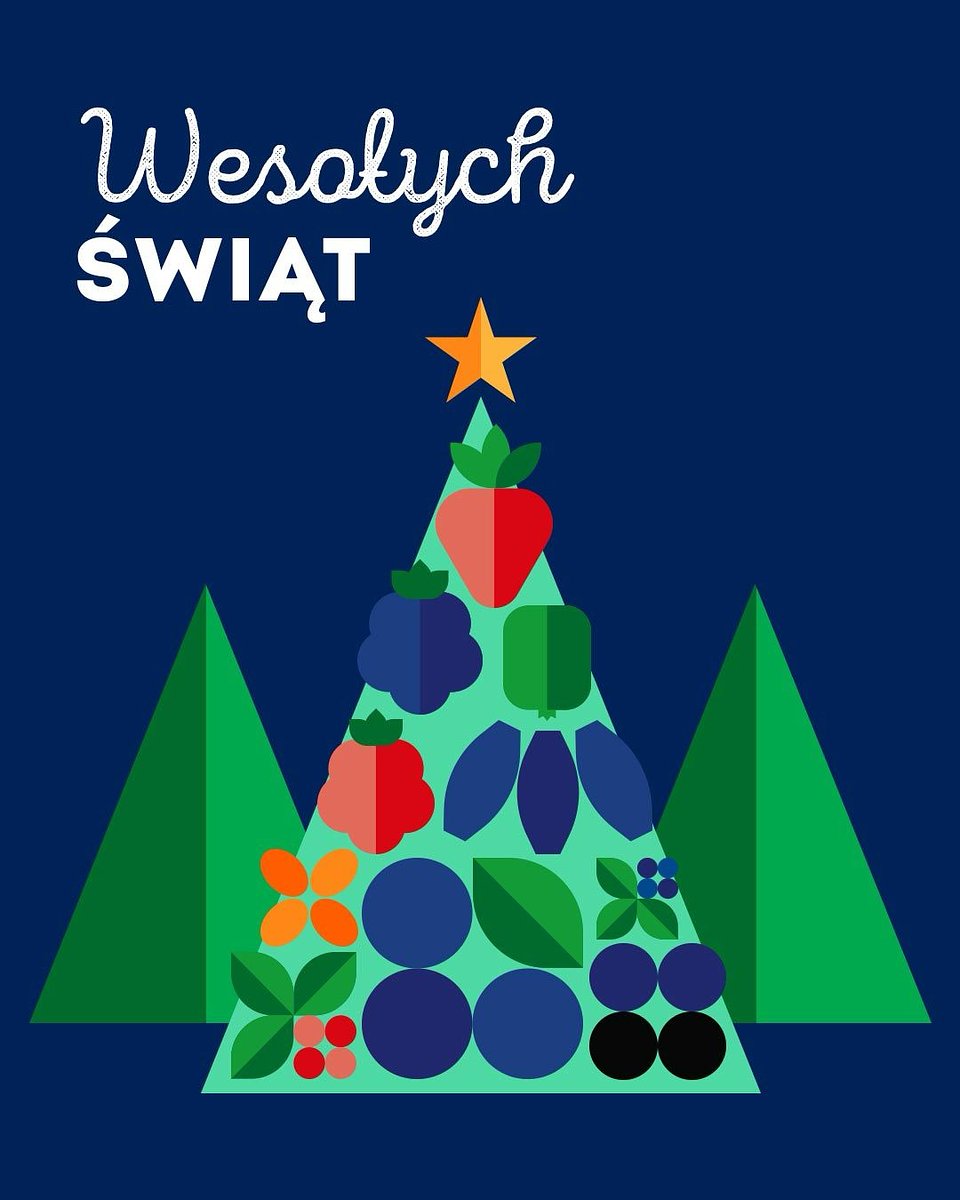 Wesołych Świąt_ (3).jpeg