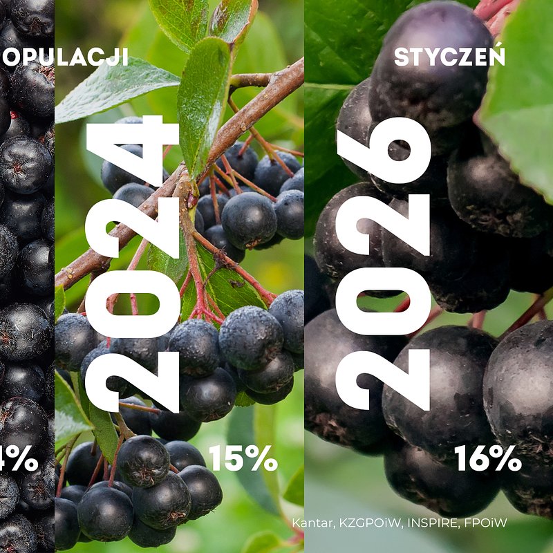 KANTAR Styczeń 2026 (11).jpg