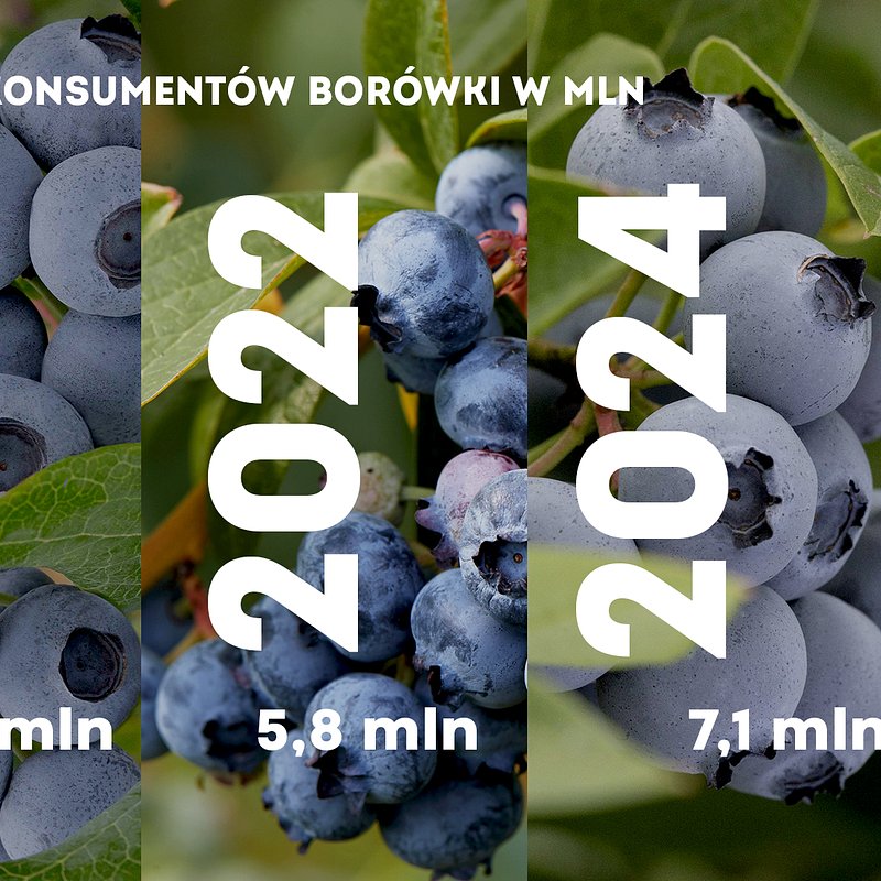 KANTAR Styczeń 2026 (14).jpg