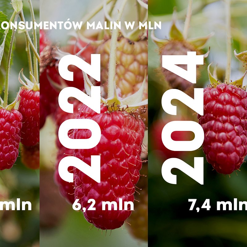 KANTAR Styczeń 2026 (18).jpg