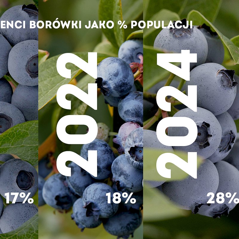 KANTAR Styczeń 2026 (13).jpg