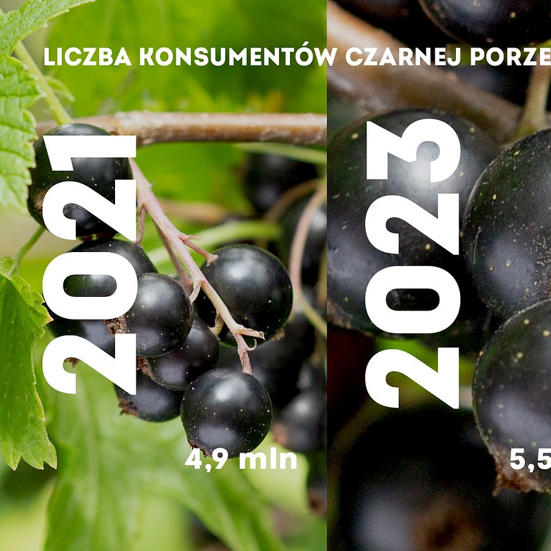 KANTAR Styczeń 2026 (16).jpg