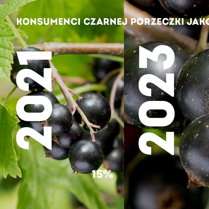 KANTAR Styczeń 2026 (15).jpg
