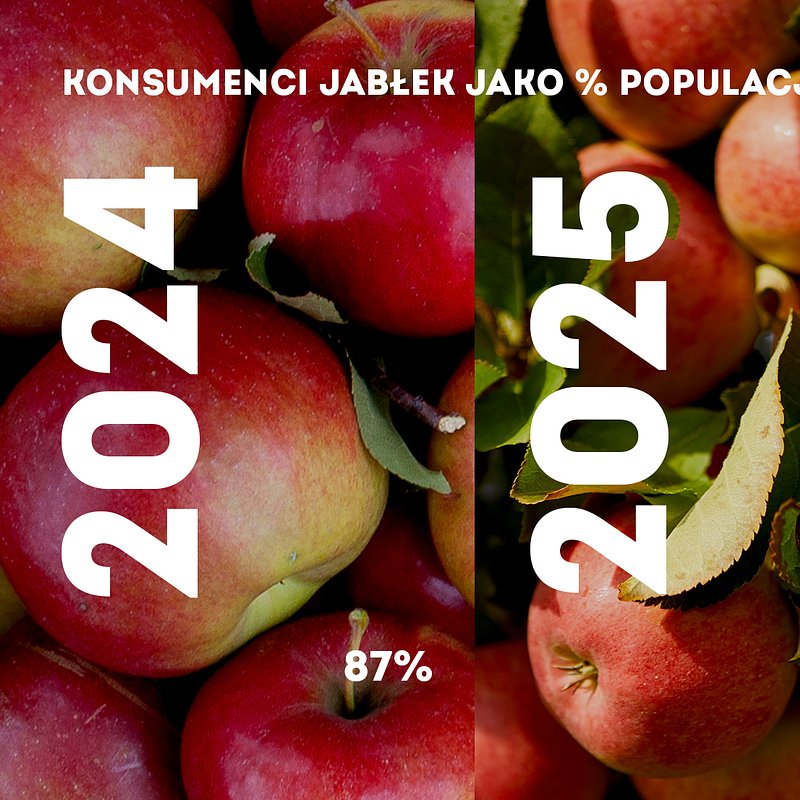 KANTAR Styczeń 2026 (10).jpg