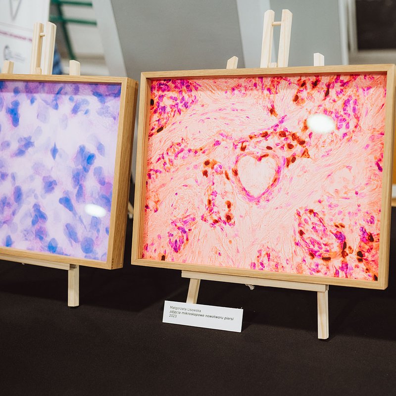 WUM supports Women 2026 (19).jpg