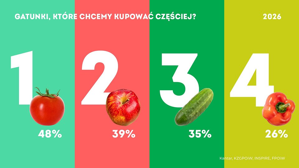 KZGPOiW (2).jpg