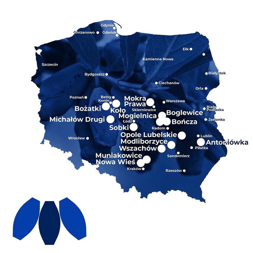 czerwiec-na-plantacjach-jagody-kamczackiej_mapa_2026.jpg