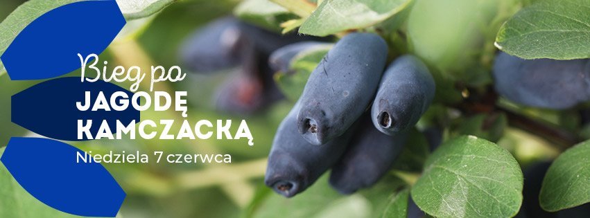 Biegi-2026-KAMCZACKA-851x315px-v03.jpg