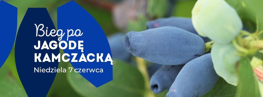 Biegi-2026-KAMCZACKA-851x315px-v01.jpg